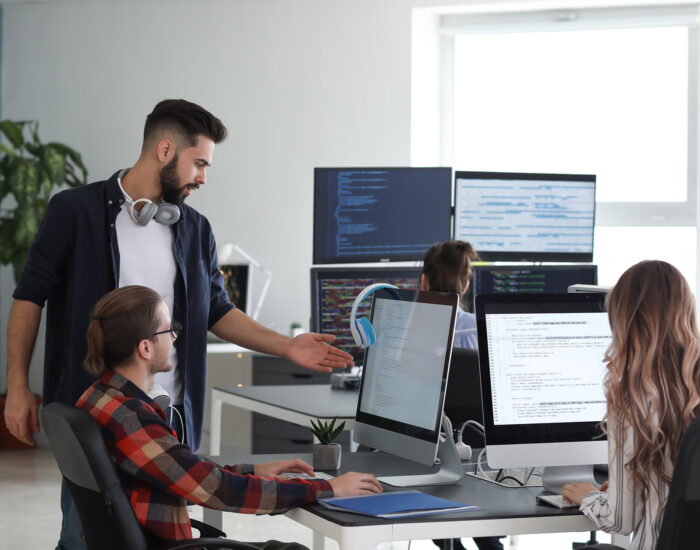 Team of programmers