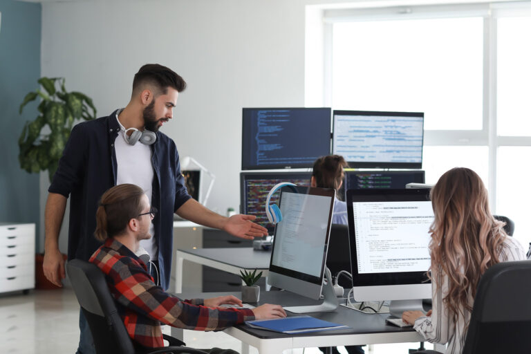 Team of programmers